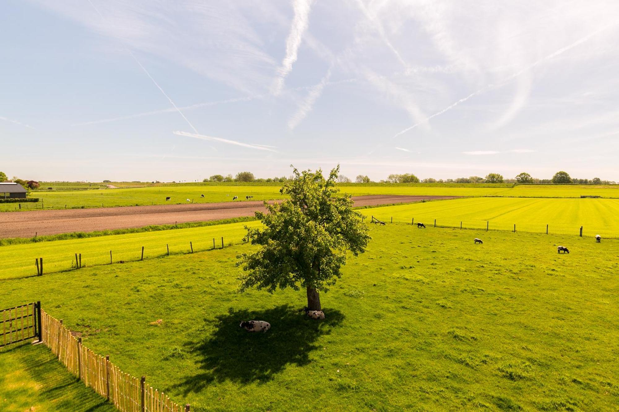 Boerderij De Zalm Schalkwijk Exterior foto