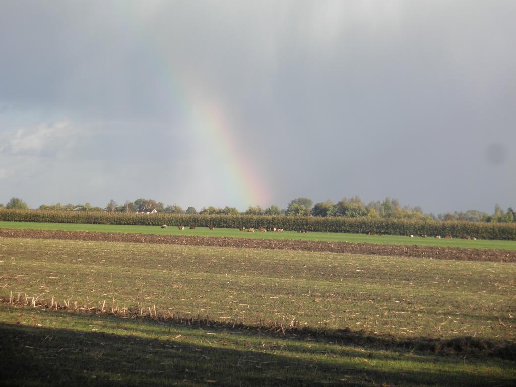 Boerderij De Zalm Schalkwijk Exterior foto